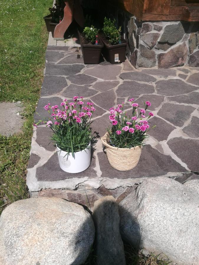 Drevenica Zapadne Tatry S Kupacou Kadou A Krbom Žiar Exterior foto