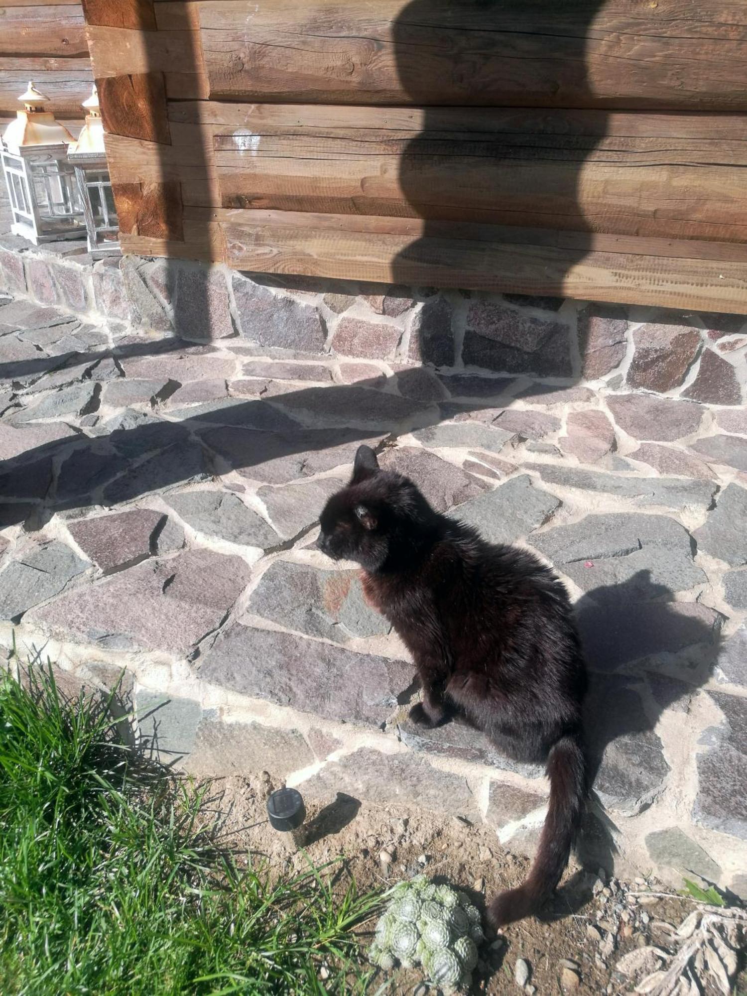 Drevenica Zapadne Tatry S Kupacou Kadou A Krbom Žiar Exterior foto