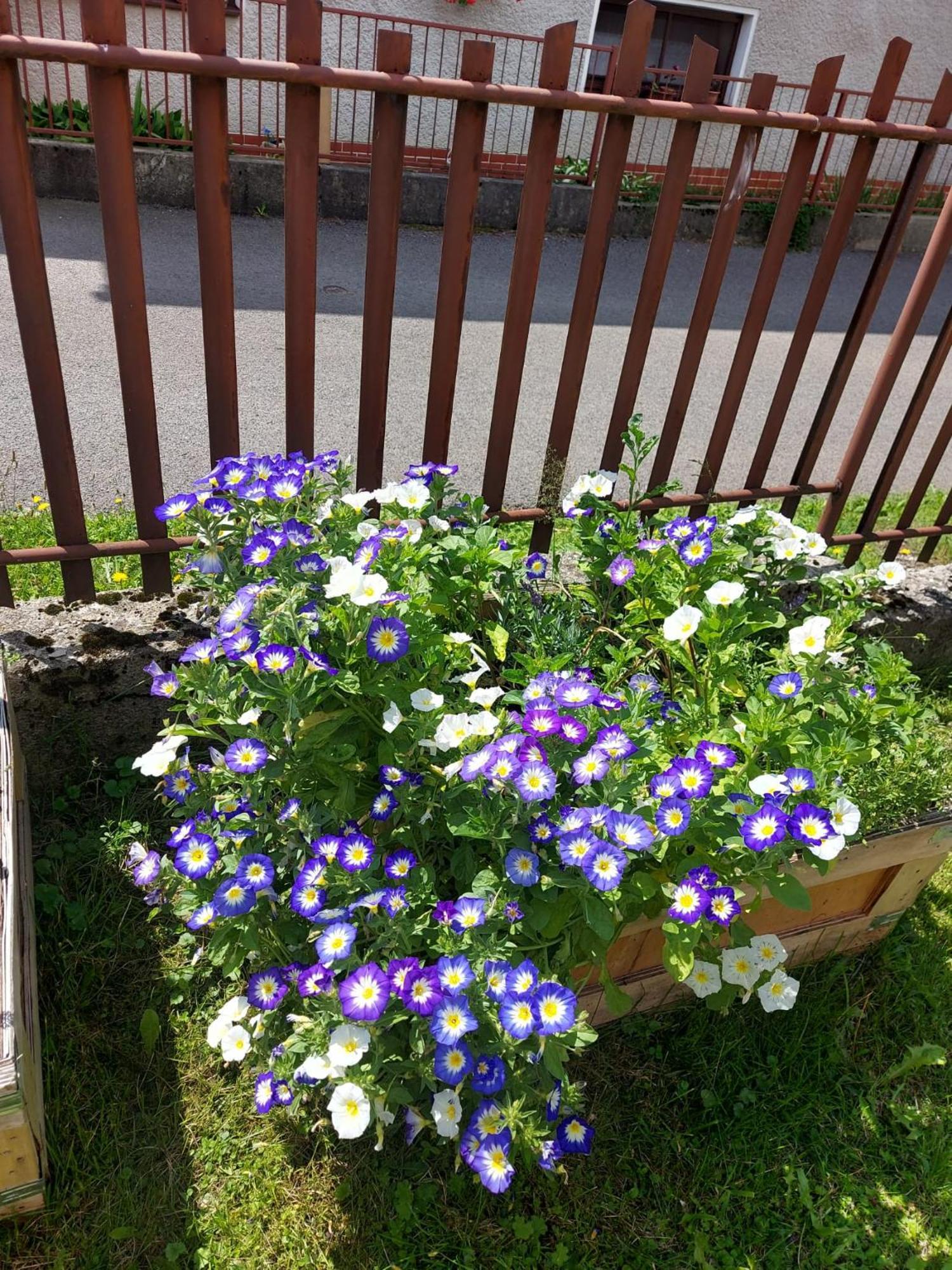 Drevenica Zapadne Tatry S Kupacou Kadou A Krbom Žiar Exterior foto
