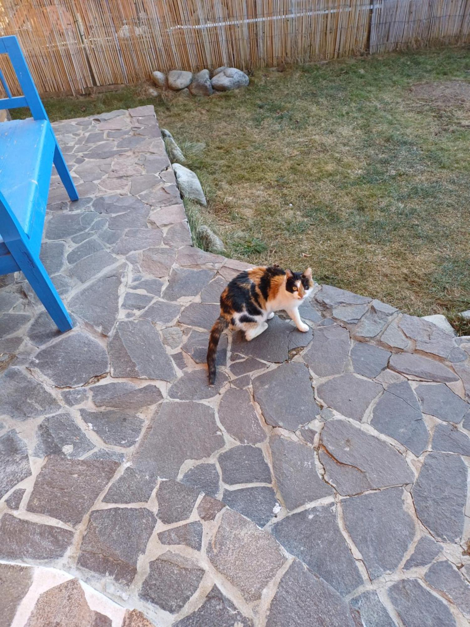 Drevenica Zapadne Tatry S Kupacou Kadou A Krbom Žiar Exterior foto